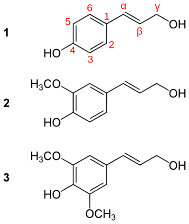 Фенилпропановые единицы лигнина [3]: 1 — кумаровый спирт; 2 — конифериловый спирт; 3 — синапиловый спирт