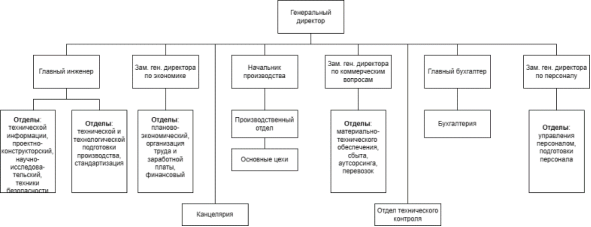 Организационная структура предприятия