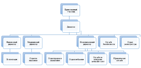 Организационная структура клиники