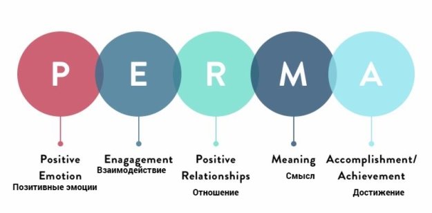 Модель счастья PERMA по М. Е. Селигману