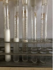 Изображение водных растворов N-(додеканоилокси)этил-N,N-(диметил)аммонийпропионата в процессе пенообразования