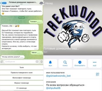 Telegram-bot «Готовые домашние задания по тылям Тхэквондо»