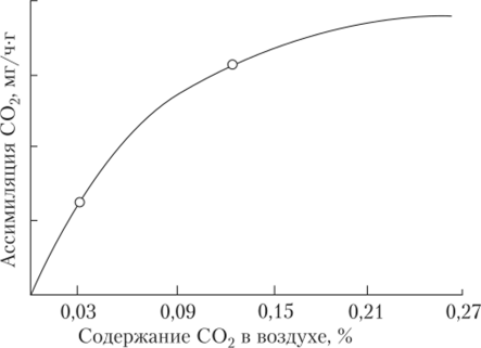 Зависимость интенсивности фотосинтеза хвои сосны от концентрации углекислого газа в воздухе