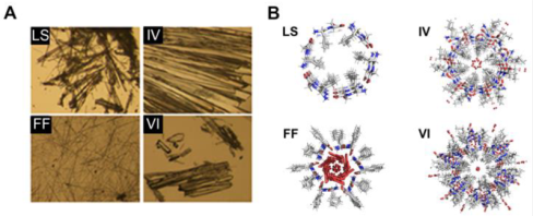 (A) изображение кристаллов LS, FF, IV и VI под оптическим микроскопом; (B) Кристаллические структуры дипептидных нанотрубок вдоль кристаллографической оси С [Г]