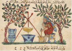 Миниатюра из рукописи De materia medica Диоскорида, 1224 г., Багдад. Метрополитен-музей. Источник: https://www.metmuseum.org/art/collection/search/140003495