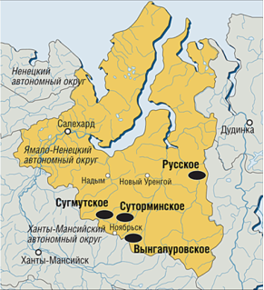Схема расположения Русского месторождения