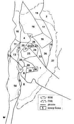 Тектонические блоки. Пласты ПК1–7 Русского месторождения