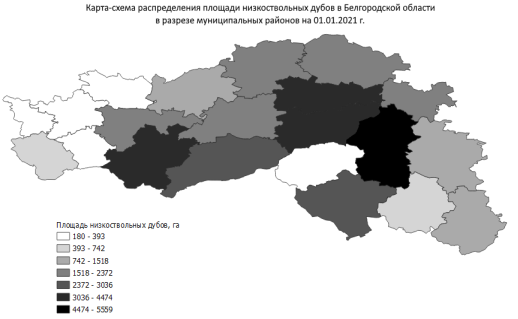 Карта-схема распределения площади низкоствольных дубов в Белгородской области в разрезе муниципальных районов на 01.01.2021 г. [составлена автором на основе 3, 4]