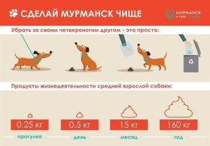Инфографика социальной организации «Мурманск. И себе, и людям»