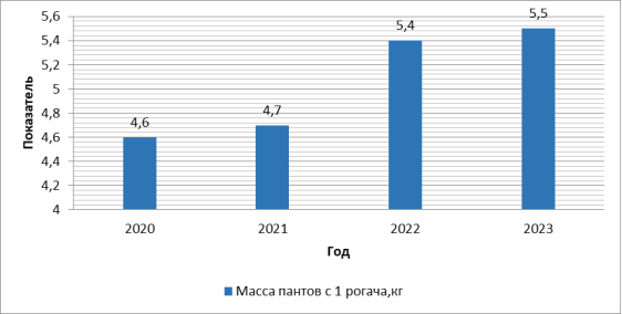 Показатель массы пантов с 1 рогача в период с 2020–2023 г.