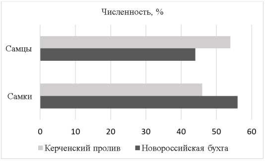 Половой состав европейского анчоуса из бассейна Черного моря