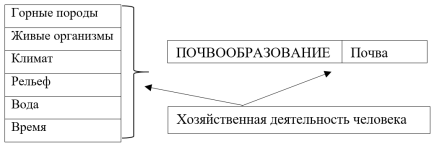 Почвообразующие факторы