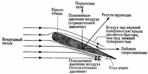 Подъемная сила крыла БПЛА