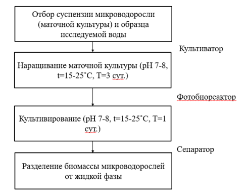 Технология очистки воды с использованием микроводорослей