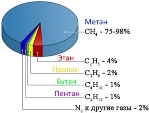 Состав природного газа [1]