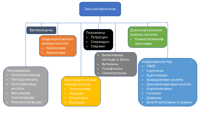 Различные типы метабиотиков