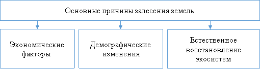 Основные причины залесения земель