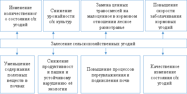 Последствия зарастания сельскохозяйственных угодий