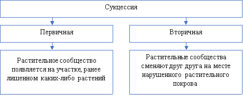 Виды сукцессии