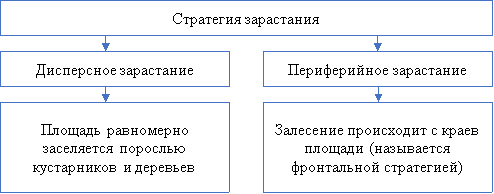 Стратегии зарастания