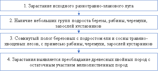 Стадии зарастания