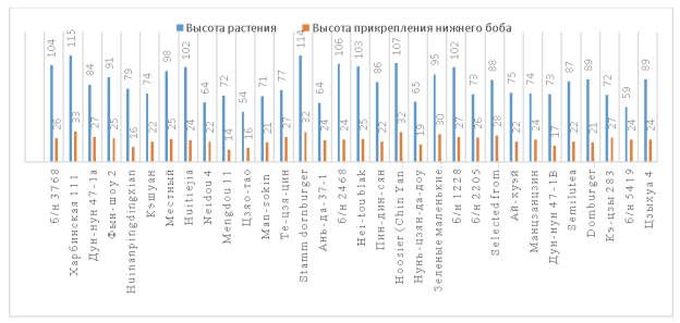 Линейные показатели сортообразцов сои коллекционного питомника, см