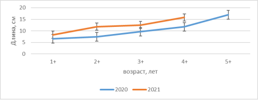 Зависимость длины ротана (см) от возраста (лет), 2020 и 2021 г.