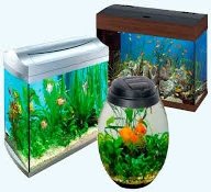Картинки по запросу аквариум