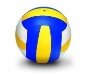 http://www.ntm-tv.ru/.cache/images/img_a/395x898_1_0__images_03march2012_VOLEIBOL.jpg