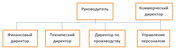 Схема организационной структуры подчинения руководителю