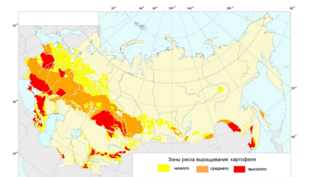 Карта зоны потенциального фитосанитарного риска для выращивания картофеля по комплексу специализированных вредителей и болезней в РФ: желтый цвет — малая степень угрозы (слабую вредоносность), оранжевый — средняя, а красный — высокая степень угрозы (сильную вредоносность)