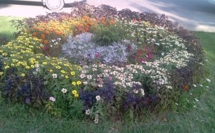 Сочетание цветников, клумб и газонов