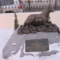 A statue of a kangaroo in the snow

Description automatically generated with medium confidence