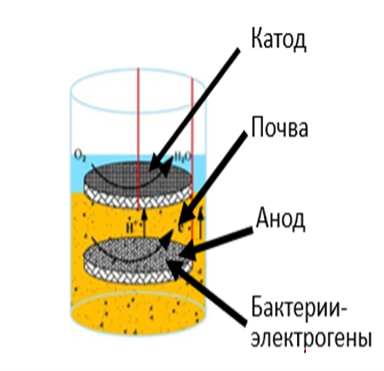Конструкция микробный топливный элемент