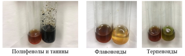 Проверяемые реакции присутствия различных соединений в экстракте черного чеснока (AS.75)
