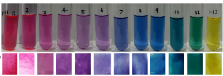 Изменение цвета растворов и нановолокон, содержащих антоцианы, в зависимости от рН [8]