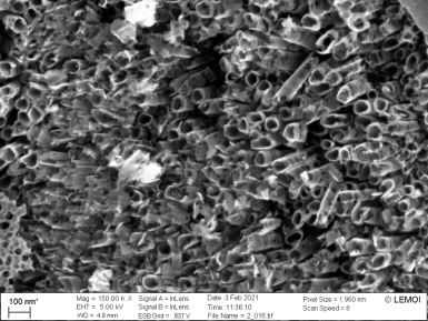 СЭМ-изображение поверхности образца 2 с нанотрубками