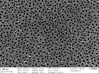СЭМ-изображение поверхности образца 2 с нанопорами