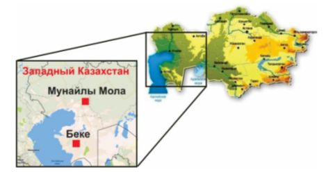 Географическое расположение месторождений нефтебитуминозных пород Мунайлы Мола и Беке