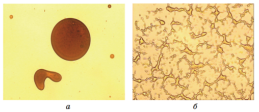 Микроскопическая картина разрушения сырой нефти микроорганизмами (×800): а — контрольный вариант без микроорганизмов, окисляющих углеводороды; б — вариант с микроорганизмами, окисляющими углеводороды [2, с. 14]
