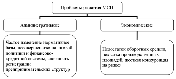 Основные проблемы развития МСП в РФ 11