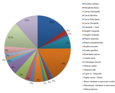 Биомасса основных групп зоопланктона в летнее время в процентном соотношении