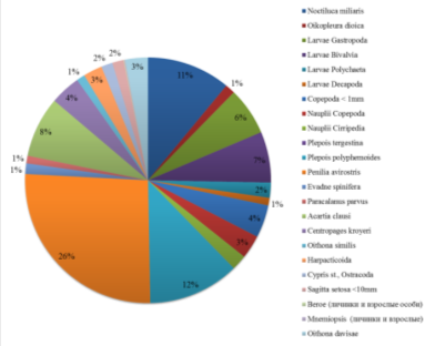 Численность основных групп зоопланктона в летнее время в процентном соотношении