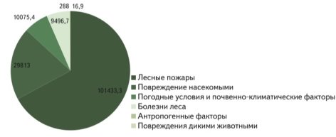 Основные причины гибели лесов от пожаров в 2019-21 гг.