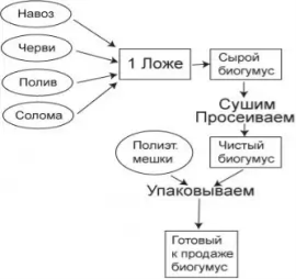 Схема производства биогумуса [6]