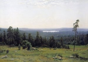 Лесные дали 1884 112х164 (картина) — Иван Иванович Шишкин