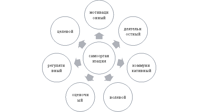 Компоненты самоорганизации