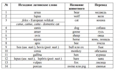 Курсовая работа по теме Названия животных в английском языке