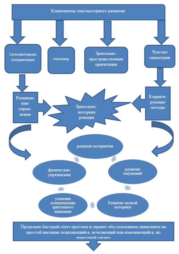 Схема-модель развития сенсомоторных реакций у дошкольников в воспитательно-образовательном процессе