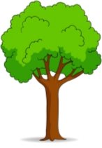 https://static6.depositphotos.com/1150740/673/v/450/depositphotos_6737475-stock-illustration-cartoon-tree-isolated-on-white.jpg